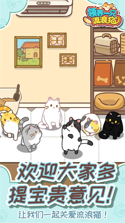 领养一只流浪猫中文版