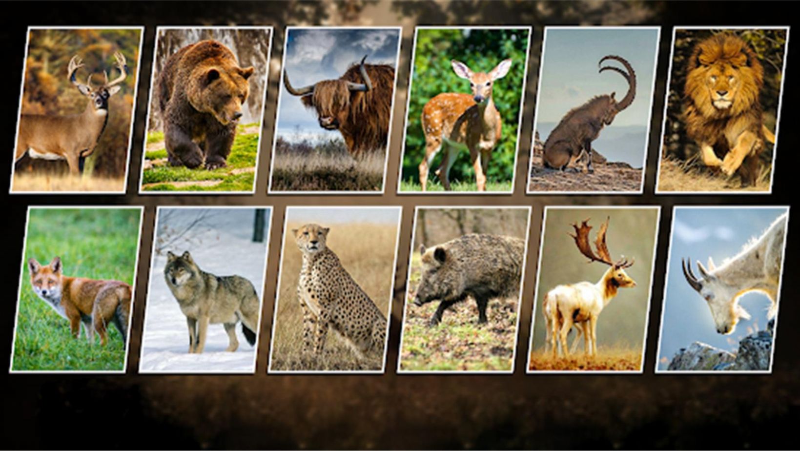 荒野狩猎求生安卓版