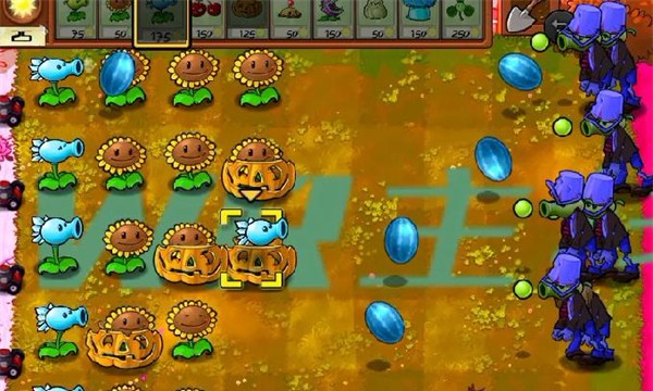 植物大战僵尸WR主线免费版