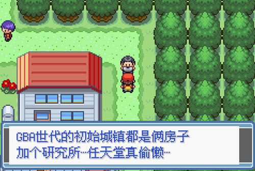 口袋妖怪：永恒之焱最新版