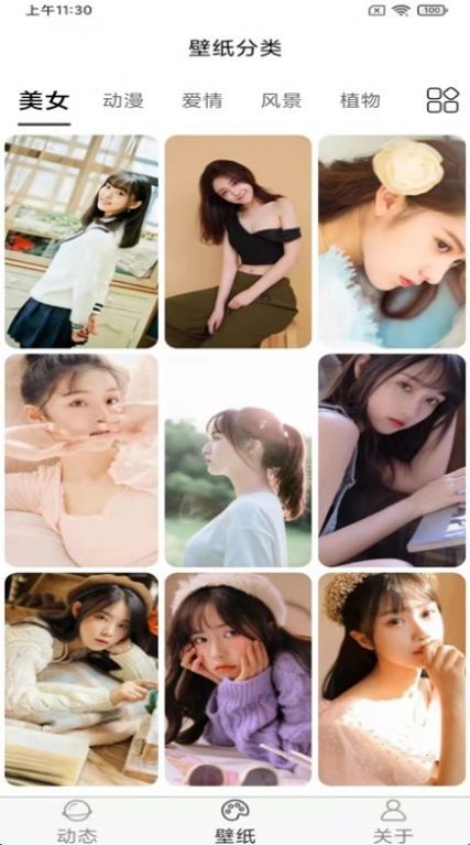 飞花动态壁纸2022