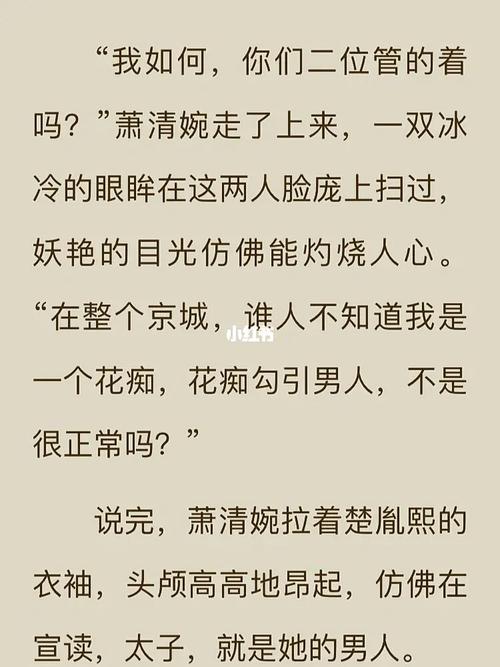 大丑风流记txt下载