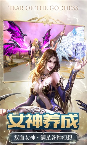 女神之泪最新版