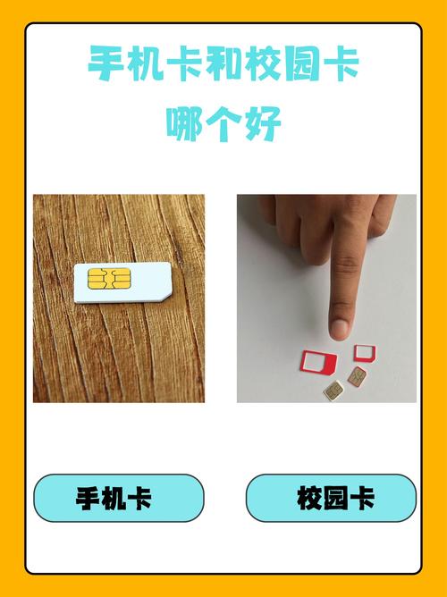 E道一卡二卡三卡