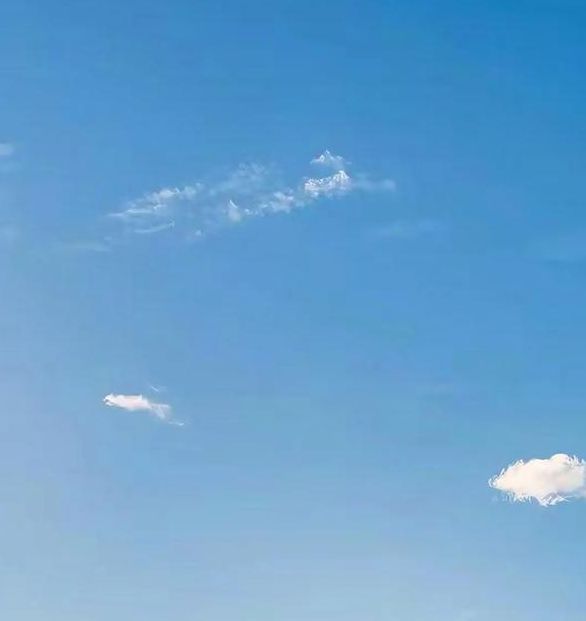 日本高清无日本高清视频