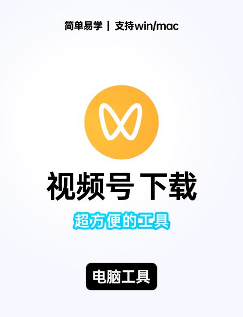 网红龙物视频APP