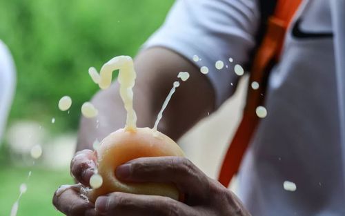 水蜜桃成视频人在线播放下载