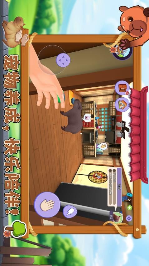 宠物消不停完整版