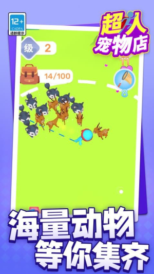 超人宠物店先行服