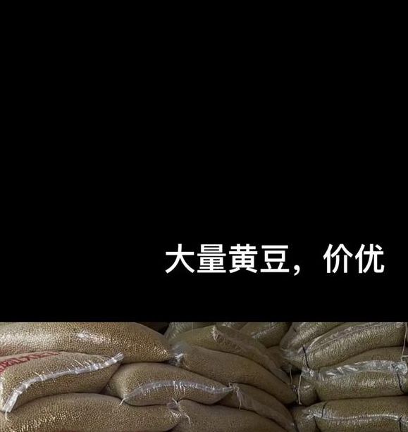 黄豆视频 黄豆精品 黄豆库