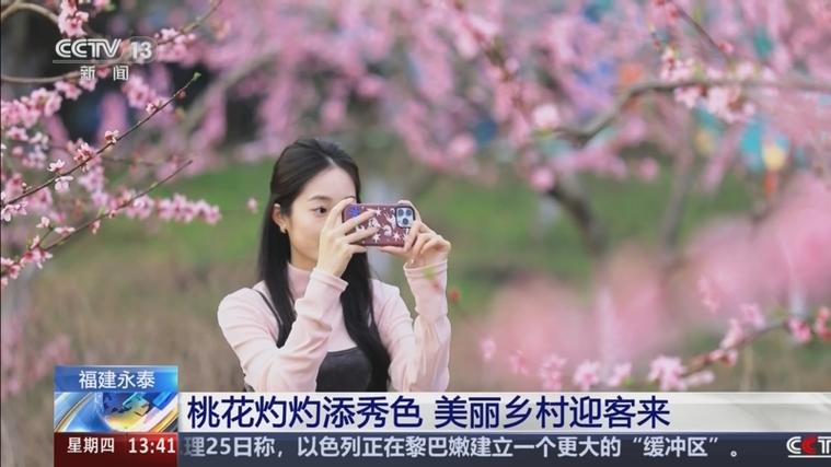 桃花直播免费播放在线直播色多多