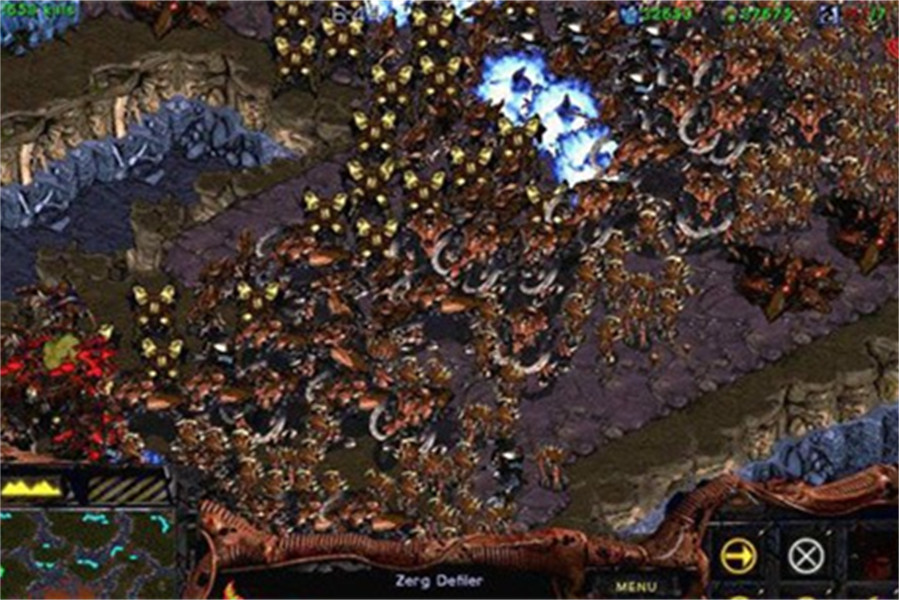 星际争霸完美中文版