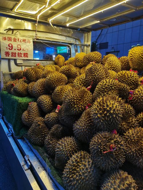 ll888榴莲无限看免费版